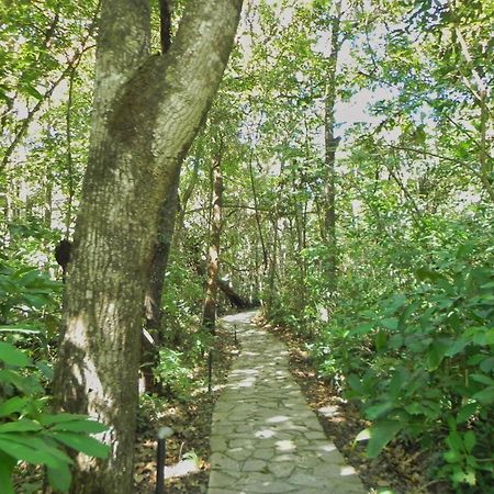 Pousada Eden - Conforto, Imersao E Natureza São Jorge Exterior foto