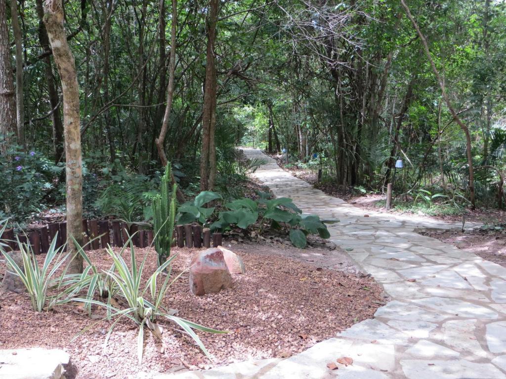 Pousada Eden - Conforto, Imersao E Natureza São Jorge Exterior foto